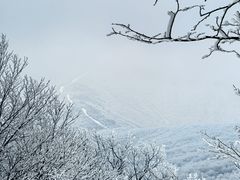 -安吉龙王山风景区