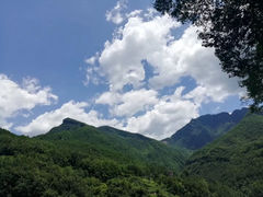 -诺水河