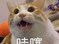 -晋商羊家将(十八中店)