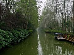 滨湖湿地公园-合肥滨湖国家森林公园