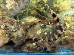 -旺角小渔村(二马路店)