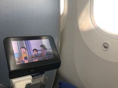 -全日本空输株式会社(上海办事处)