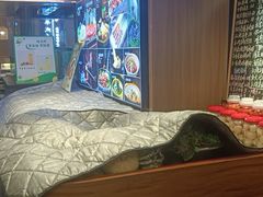 -丁里羊肉小镇(天鹅湖总店)