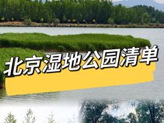 -翠湖国家城市湿地公园