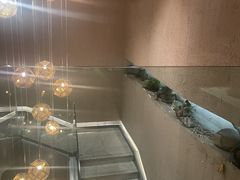 -青藤茶馆(凤起路店)