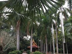 -西双版纳傣族园