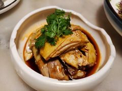 -江南大院松鼠桂鱼(奉贤宝龙店)