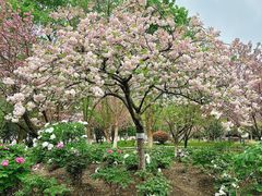 -江南大学(蠡湖校区)