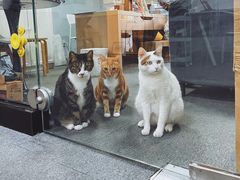 -青沐画室·专业美术培训