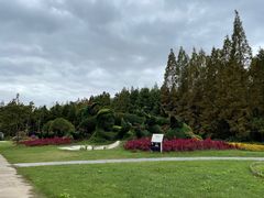 -东平国家森林公园