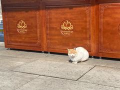 -六鼎山文化旅游区