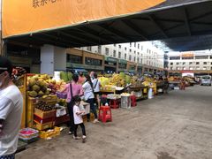 -三亚新鸿港水果一级批发市场