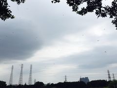 -黄埔古港