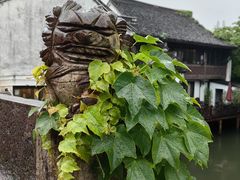 -鲁镇