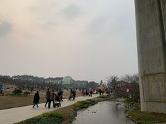-秀丽东方
