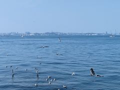 -星海湾跨海大桥