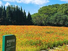 -华东政法大学(松江校区)