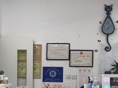 -中农国际动物医院24小时·猫科·骨科·急重症中心