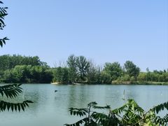 -翠湖国家城市湿地公园