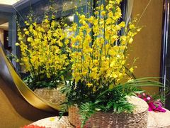 -新鲜特色餐厅(香格里拉大酒店)