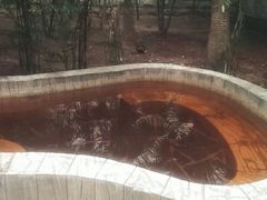 -龙达温泉生态城