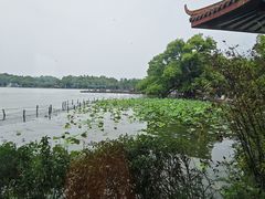 -湖畔居茶楼(湖滨店)