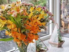 -蝶舍·MAISON PAPILLON