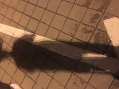 -海口站