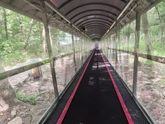 -香炉山国家森林公园