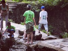 -素山寺森林公园