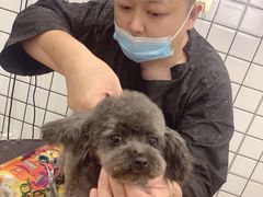 -熊小胖宠物生活馆(天华园店)