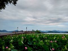 -新丰小吃(中山中路分店)