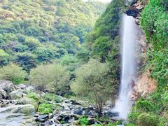 -少华山国家森林公园
