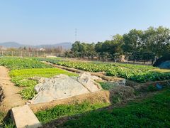 -呼吸森林·生态农庄农家乐私房菜