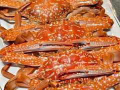 -粤盛海鲜平价店(洛溪食街店)