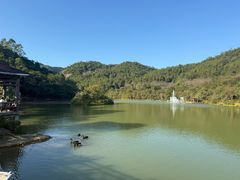 -广州白江湖森林公园