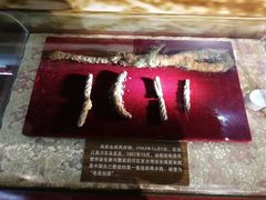 -中国船政文化博物馆