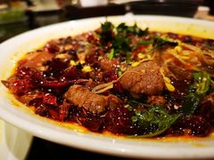 四川毛血旺-新南华大酒店(广中店)