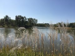 -东郊湿地公园