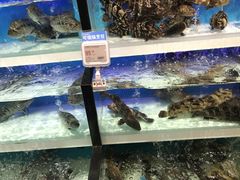 -盒马鲜生(昆城店)