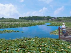 -上海海湾国家森林公园