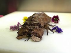 芝士焗犀牛虾-無鱼鳞比