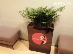 -Yestar杭州艺星医疗美容医院