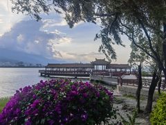 -洱海月湿地公园