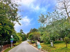 -广州市流溪河国家森林公园