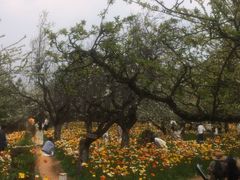 -名花谷生态庄园