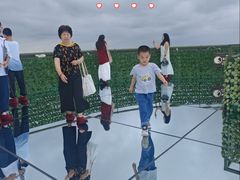 -黄海国家森林公园