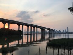 -南沙蒲洲花园