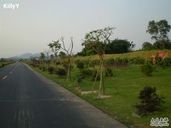 -鹤之洲湿地公园