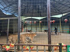 -贵州森林野生动物园